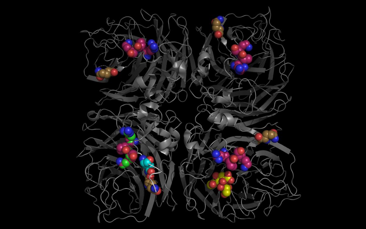 aligning substance P and N6