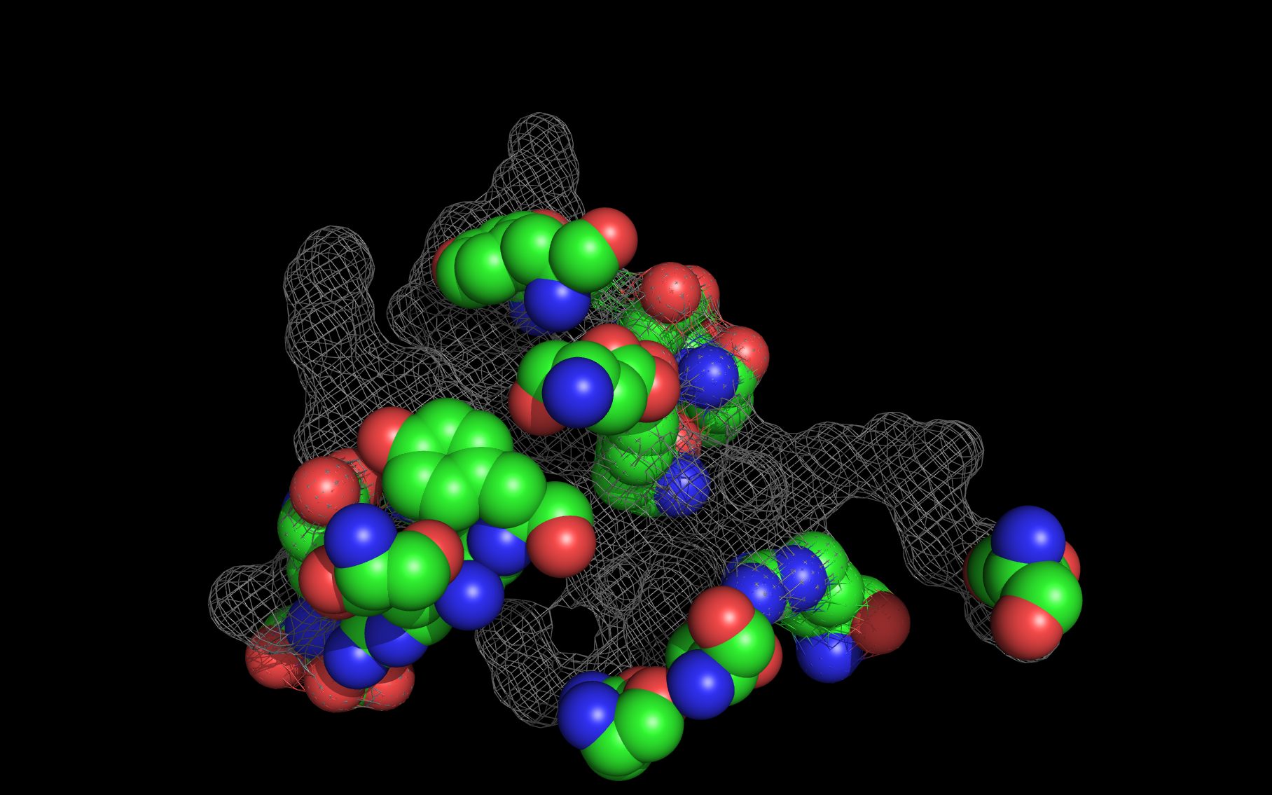 Basiliximab10