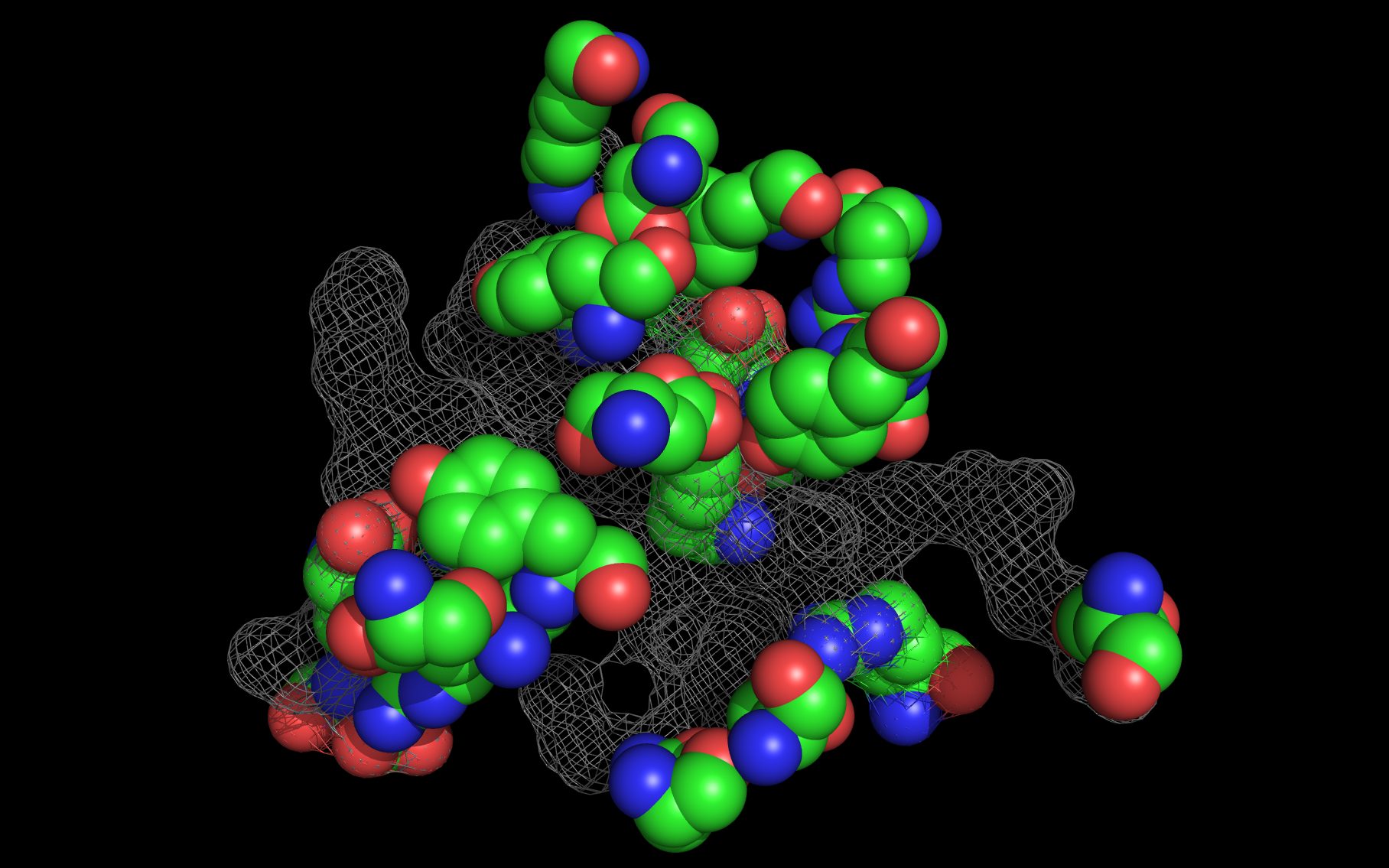 Basiliximab11