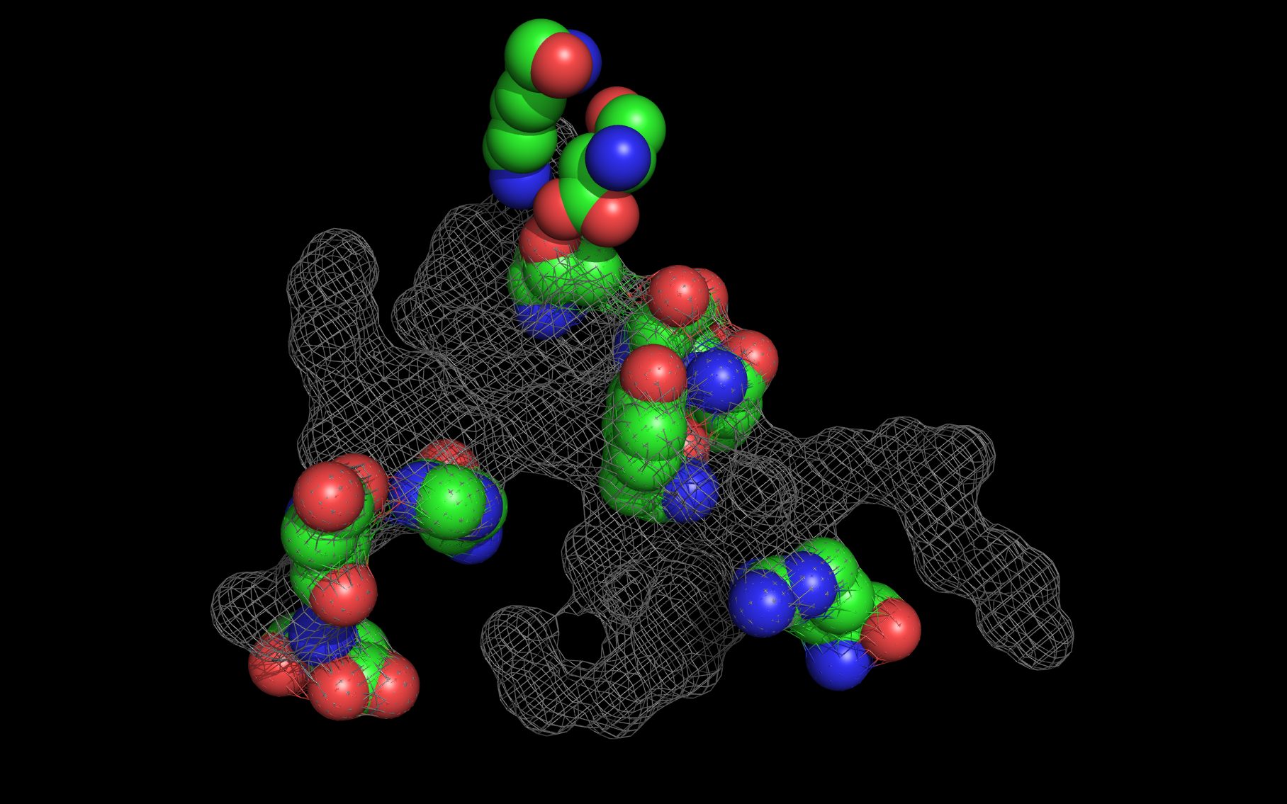 Basiliximab2