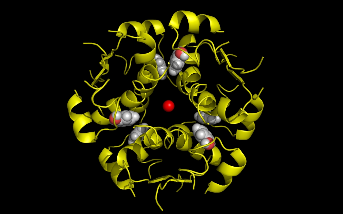 insulin hexamer and bound molecules