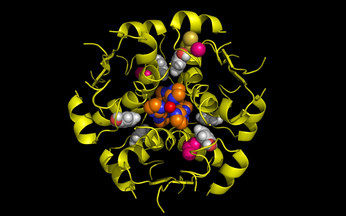 insulin to Zn and phenol <= 3.0 Angstroms