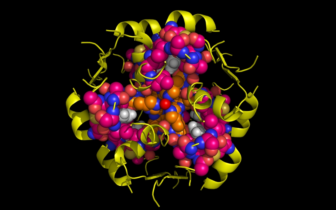 insulin to Zn and phenol <= 4.0 Angstroms