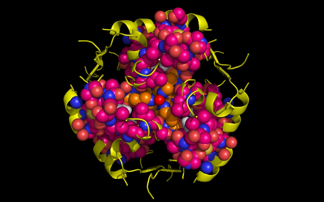 insulin to Zn and phenol <= 4.5 Angstroms