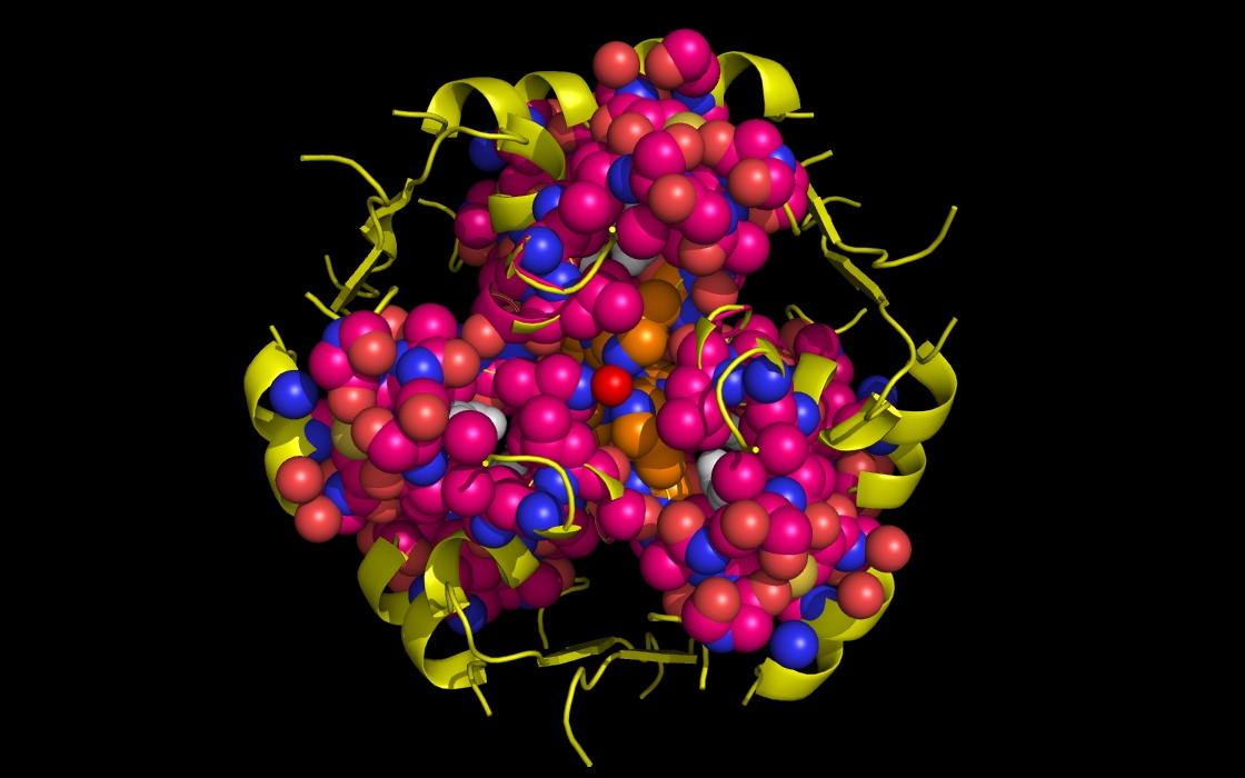 insulin to Zn and phenol <= 5.0 Angstroms