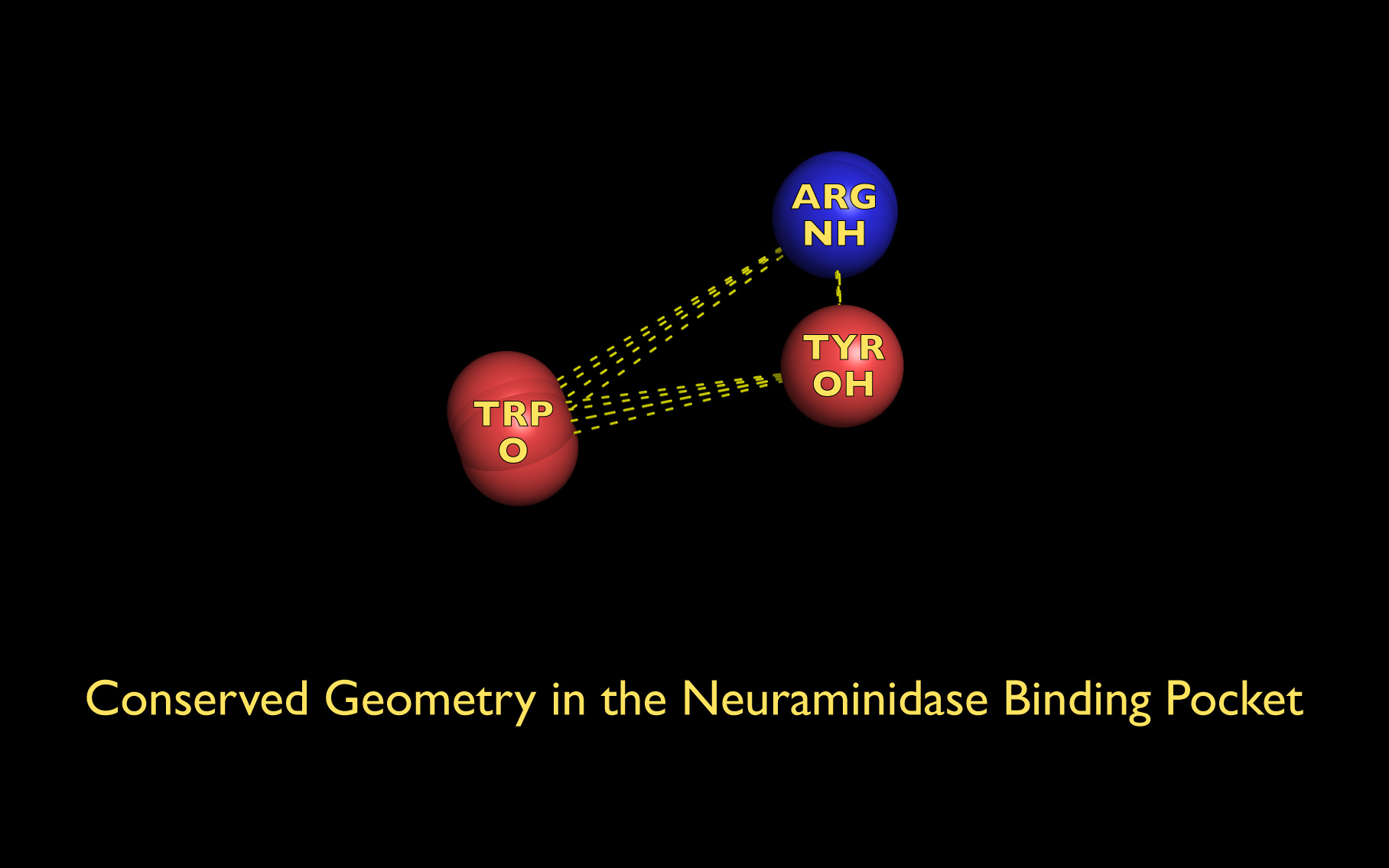 Neuraminidase Case Study