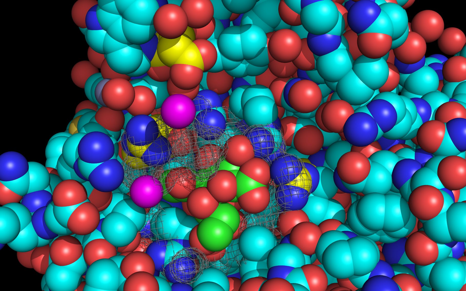 residues from human influenza N1 neuraminidase